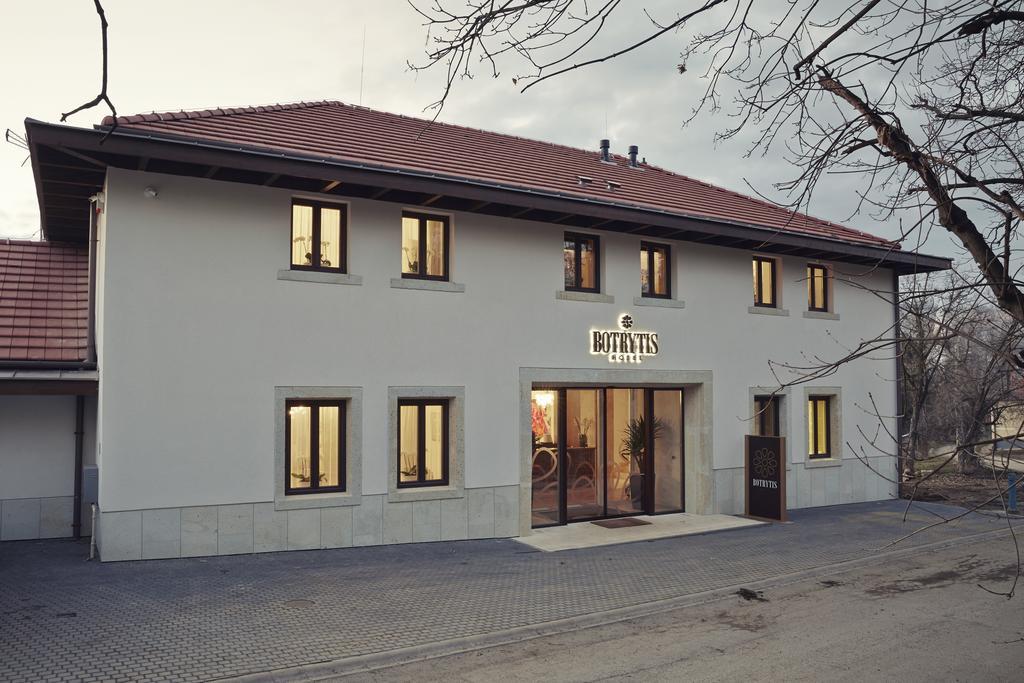 Mád Botrytis Borhotel חדר תמונה